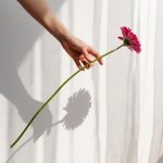 Sónia Maciel Serviços