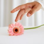 Sonia Maciel Serviços