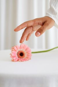 Sonia Maciel Serviços